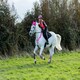 image 4 of Woof Wear Hi Vis Riding Vest (Not Certified) Pink | Size: Medium
Colour: Hi Viz Pink