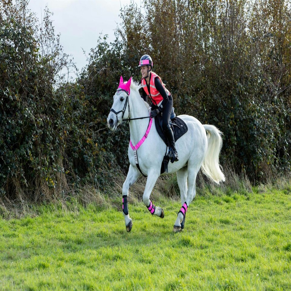 image 1 of Woof Wear Hi Vis Riding Vest (Not Certified) Pink | Size: Medium
Colour: Hi Viz Pink