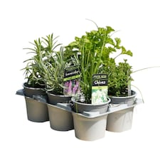 Gardening Supplies