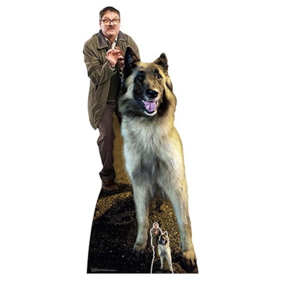 Jim Mark Heap and Wilson Dog Friday Night Dinner Lifesize Cardboard Cutout 194cm