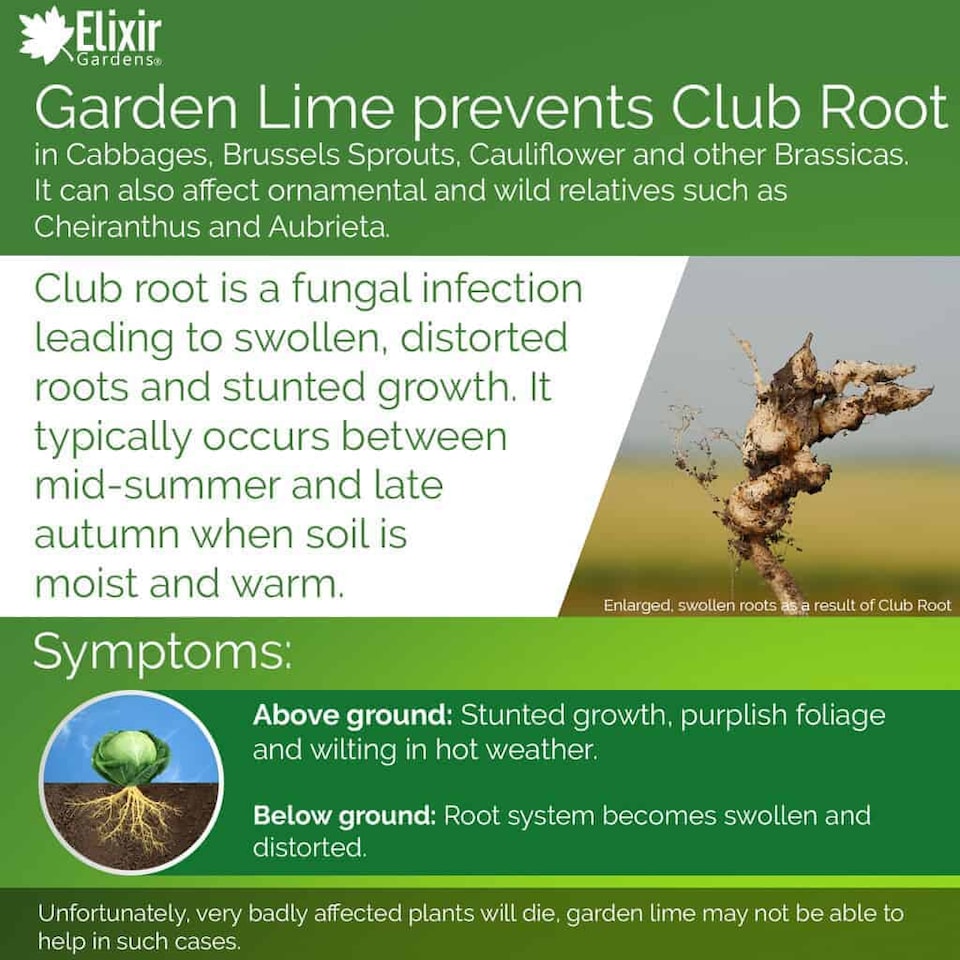 image 1 of Elixir Gardens Garden Lime Granular Limestone Calcium Magnesium Soil Conditioner x20kg Bag