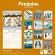image 2 of Penguins 2026 Calendar | Square Wall Calendar | Animal Gift | Plastic Free Packaging | by Avonside Publishing