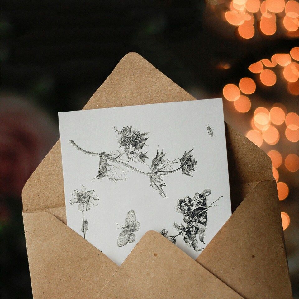 image 1 of Theo van Hoytema Art Card Flowers Leaves and Butterfly Drawing