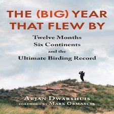 The (big) Year That Flew By
