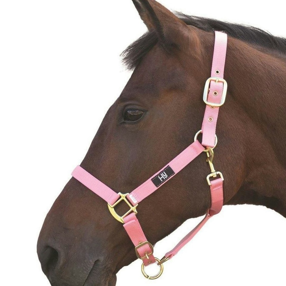 image 1 of Hy Head Collar - Baby Pink - Cob