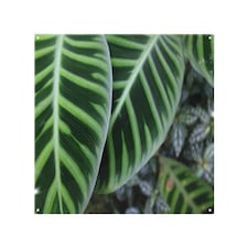 Yellow structure in exotic jungle ting Designer Splash Back | White