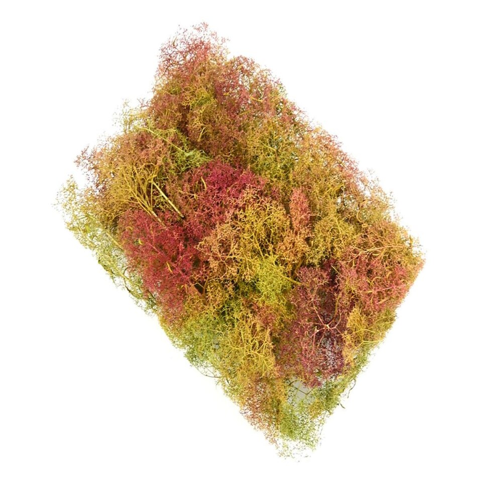 image 1 of Gaugemaster Scenics Seafoam Tree Set (GM195)
