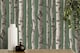 image 5 of Fine Decor FD43292 Birch Trees Wallpaper, Hunter Green