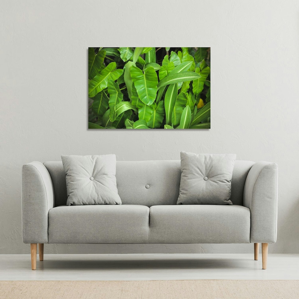 image 1 of Abstract background of dark green leaves (Canvas Print) 77 x 51 x 4cm