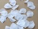image 2 of 400pcs White Silk Rose Petals Wedding Mothers Day Wedding Confetti Anniversary Table Decorations
