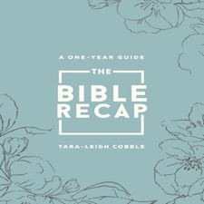 The Bible Recap  A Oneyear Guide To Reading And Understanding The Entire Bible Deluxe Edition  Sage Floral Imitation Leather