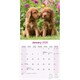 image 3 of Irish Setter 2026 Calendar | Square Wall Calendar | Dog Breed Gift | Plastic Free Packaging | by Avonside Publishing