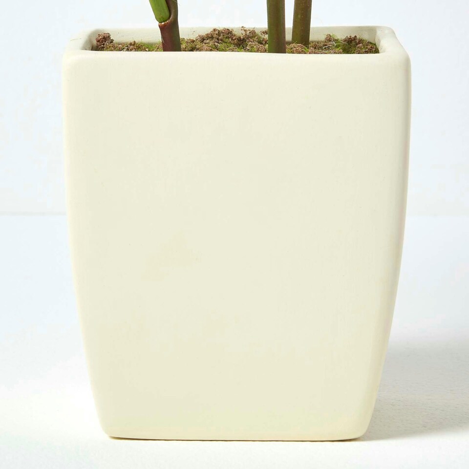 image 1 of Homescapes Cream Artificial Peonies in Decorative Cream Pot, 48 cm Tall