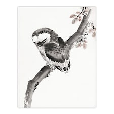 Owl 1841 Album Of Sketches Japanese Wall Art Print Hokusai 24x32"