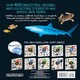 image 2 of Eyelike Stickers Ocean New - 18D Kids Activity & Sticker - PAPERBACK - 9780761169376