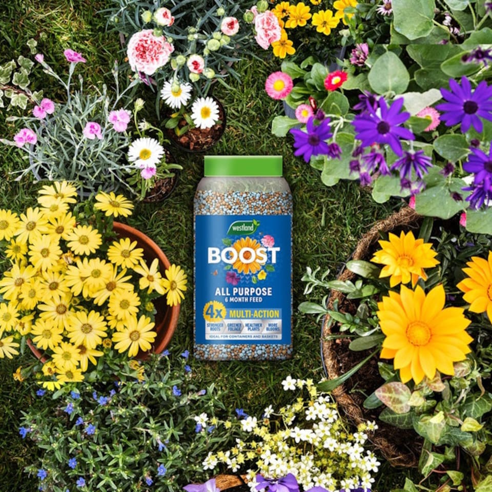 image 1 of Westland Boost All Purpose Plant Feed Granules 750g