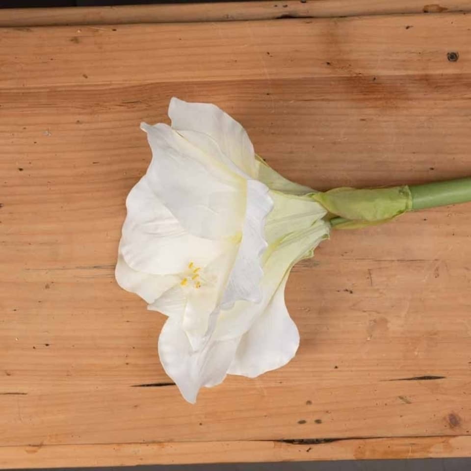image 1 of Classic White Amaryllis Artificial Flower (Single Stem) - Plastic - L35 x W35 x H81 cm - Cream/Green