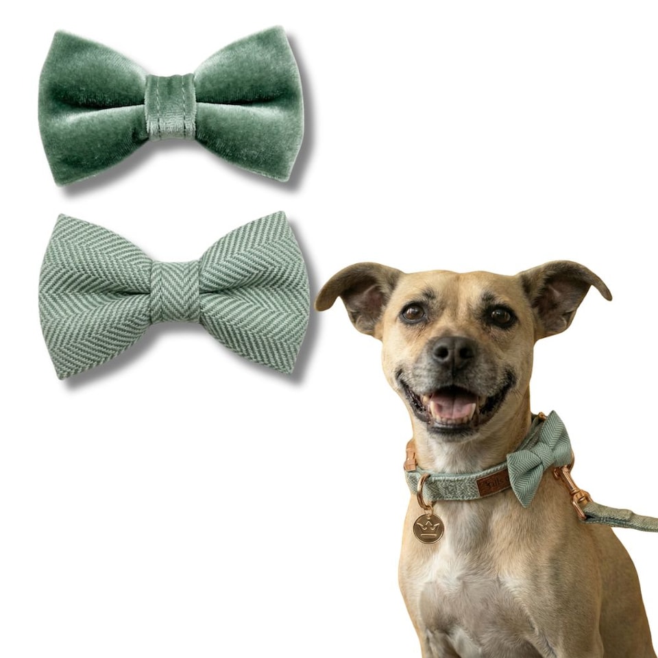 image 1 of Tails of Glory Green Tweed and Velvet Bow Set