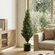 image 6 of HOMCOM Set of 2 Decorative Artificial Plants Cypress in Weighted Pot, 120cm