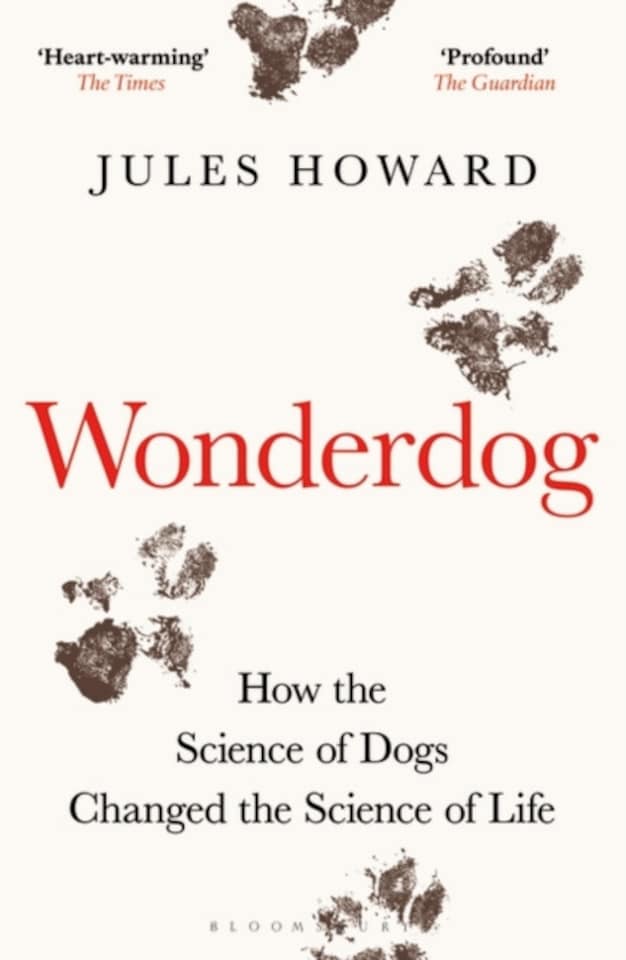 Wonderdog Paperback Book