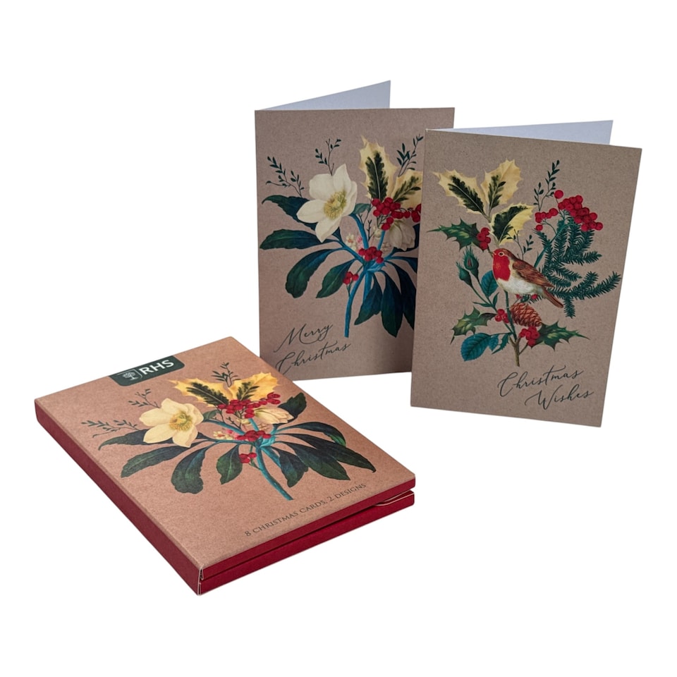 image 1 of Multipack of 8 RHS Rose & Robin Design Christmas Cards