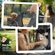 image 6 of PawHut Pet Stroller Carrier Foldable Deluxe Walk Travel Dog Dark Grey