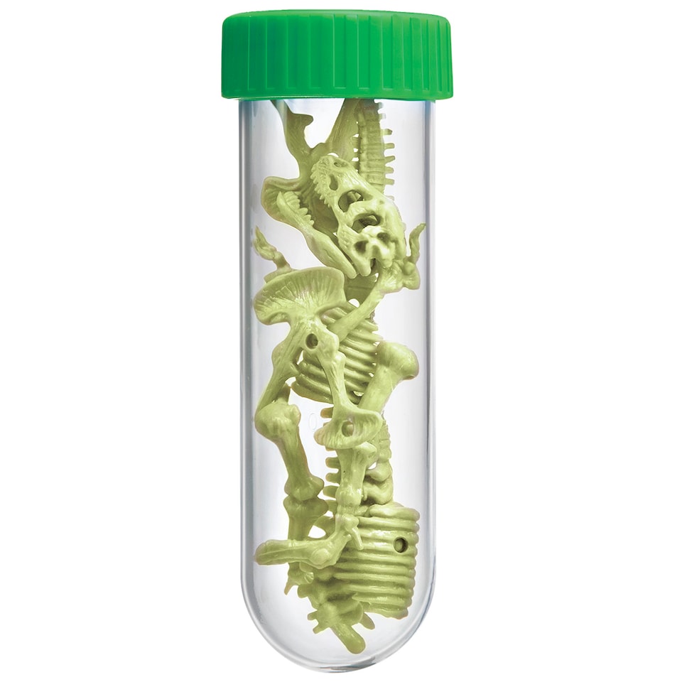 image 1 of Kidzlabs - Glowing T-Rex Skeleton