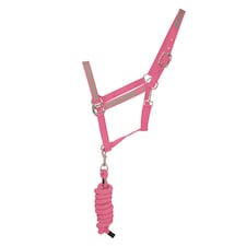 HyVIZ Reflector Head Collar and Lead Rope - Pink - Pony