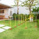 image 7 of PawHut Outdoor 3 PC Dog Pet Agility Training Garden Starter Obstacle Set for Dog