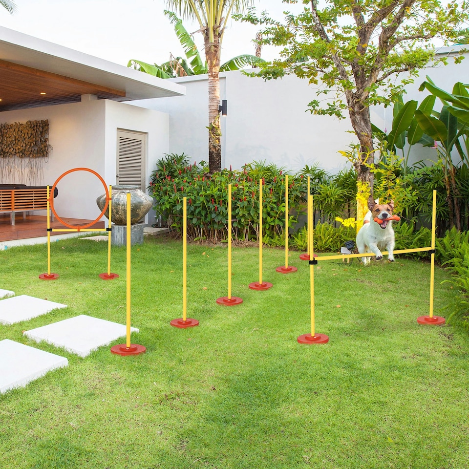 image 1 of PawHut Outdoor 3 PC Dog Pet Agility Training Garden Starter Obstacle Set for Dog
