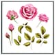 image 4 of Roses & leaves (Picutre Frame) Brown | Oak | M