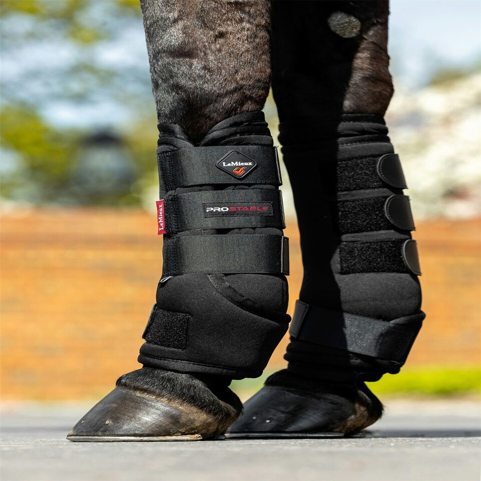 image 1 of LeMieux Stable Boots Black | X-Large