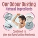 image 4 of Peony Blossom Spray Refill 500ML