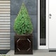 image 9 of Faux Lead Chelsea Box Square Dark Grey Light Stone Garden Planter W55 H55 L55 cm, 166 ltrs Cap.