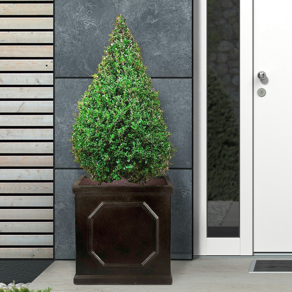 image 1 of Faux Lead Chelsea Box Square Dark Grey Light Stone Garden Planter W55 H55 L55 cm, 166 ltrs Cap.