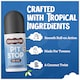 image 5 of Scrubbingtons Pit Stop Kids Deodorant Natural Roll On For Children, Teens. Natural Ingredients For Sensitive Skin Paediatrician approved, Aluminium & Alcohol Free, Coconut, 75ml | White | White | 1