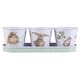 image 1 of Wrendale Designs Set of 3 Herb Pots With Tray