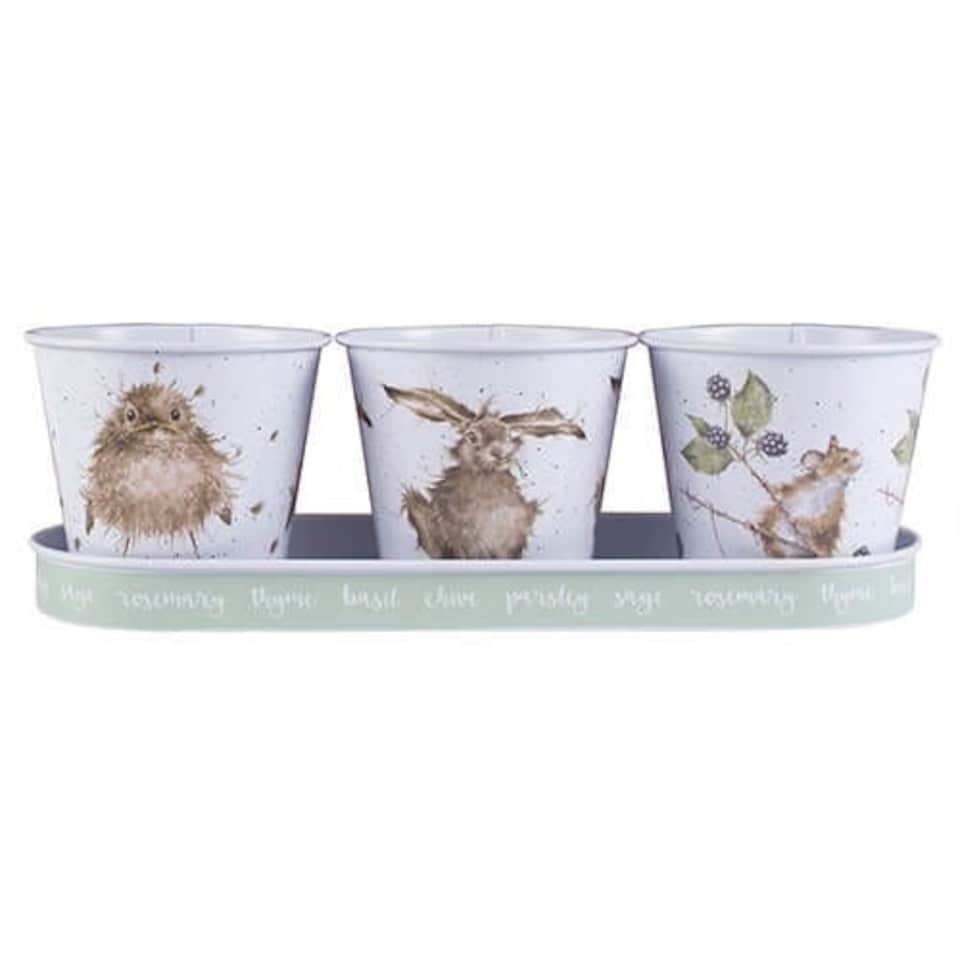 image 1 of Wrendale Designs Set of 3 Herb Pots With Tray