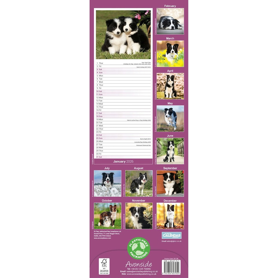 image 1 of Border Collie Slim 2026 Calendar | Slimline Wall Calendar | Dog Breed Gift | Plastic Free Packaging | by Avonside Publishing [Calendar] Avonside Publishing Ltd