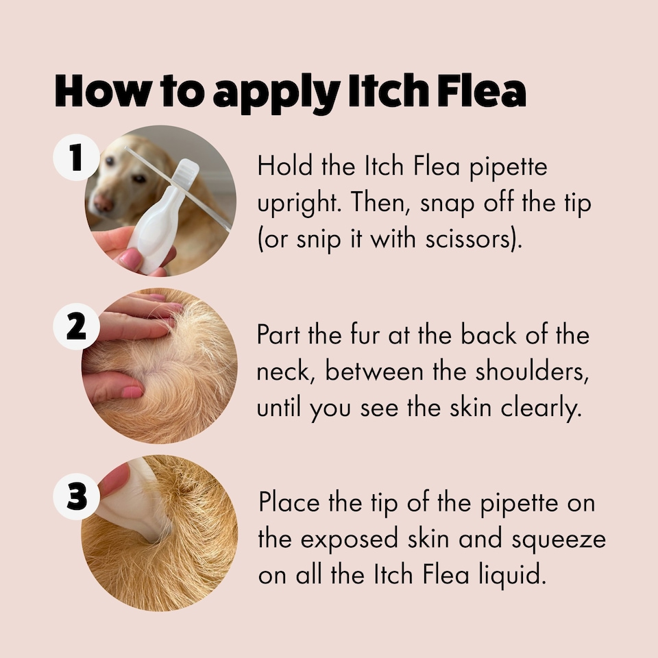 image 1 of Itch Flea Medium Dog Flea & Tick Spot On Treatment 6 Pipette (10-20kg)
