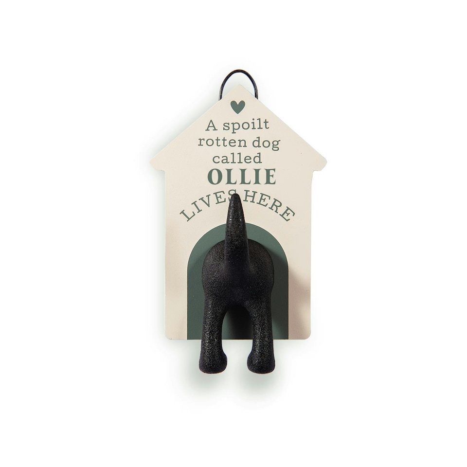 History & Heraldry Dog Lead Hook - Ollie