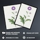 image 2 of Thistle Flower Wall Art Print Vintage Japanese Botanical 12x16"