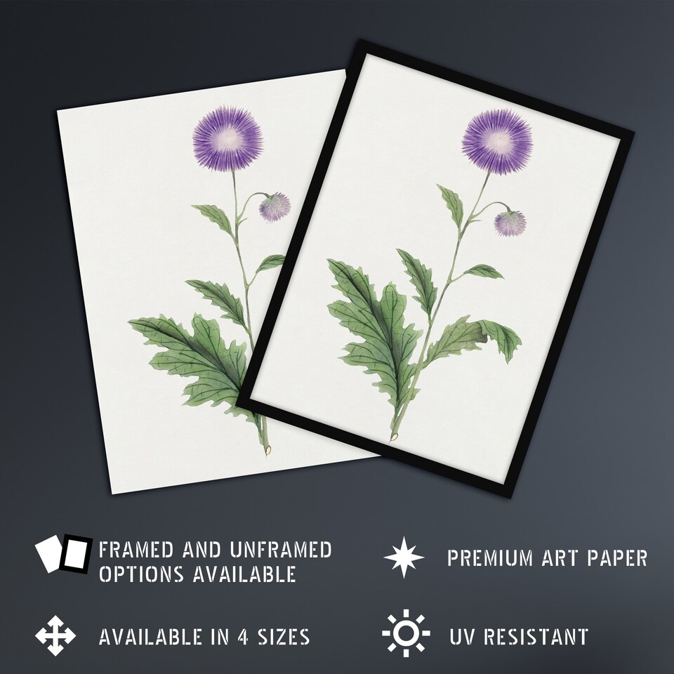 image 1 of Thistle Flower Wall Art Print Vintage Japanese Botanical 12x16"