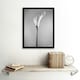 image 2 of Flower Black And White Calla Lily Home Decor 12x16" Framed Wall Art Print