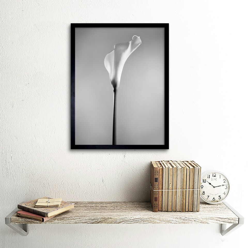 image 1 of Flower Black And White Calla Lily Home Decor 12x16" Framed Wall Art Print