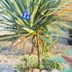 image 2 of ValueLights Blue Tulip Outdoor Solar Spike Light