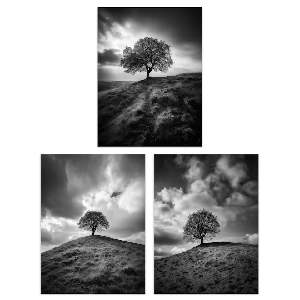 image 1 of Set of 3 Lone Tree Hill Black White Photographs Countryside Landscape Wall Art Prints 12X16 Inch