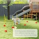 image 8 of PawHut 4-Piece Dog Agility Equipment with 4 Hurdle bars, for Training