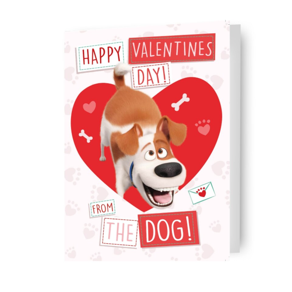 image 1 of The Secret Life of Pets "From The Dog" Valentine's Day Card