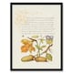 image 1 of Model Book of Calligraphy Framed Wall Art Daffodil Flower and Oak Acorns